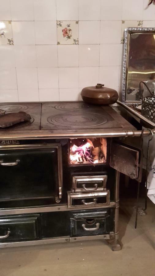 Sonnenhof Plauen Daire Dış mekan fotoğraf